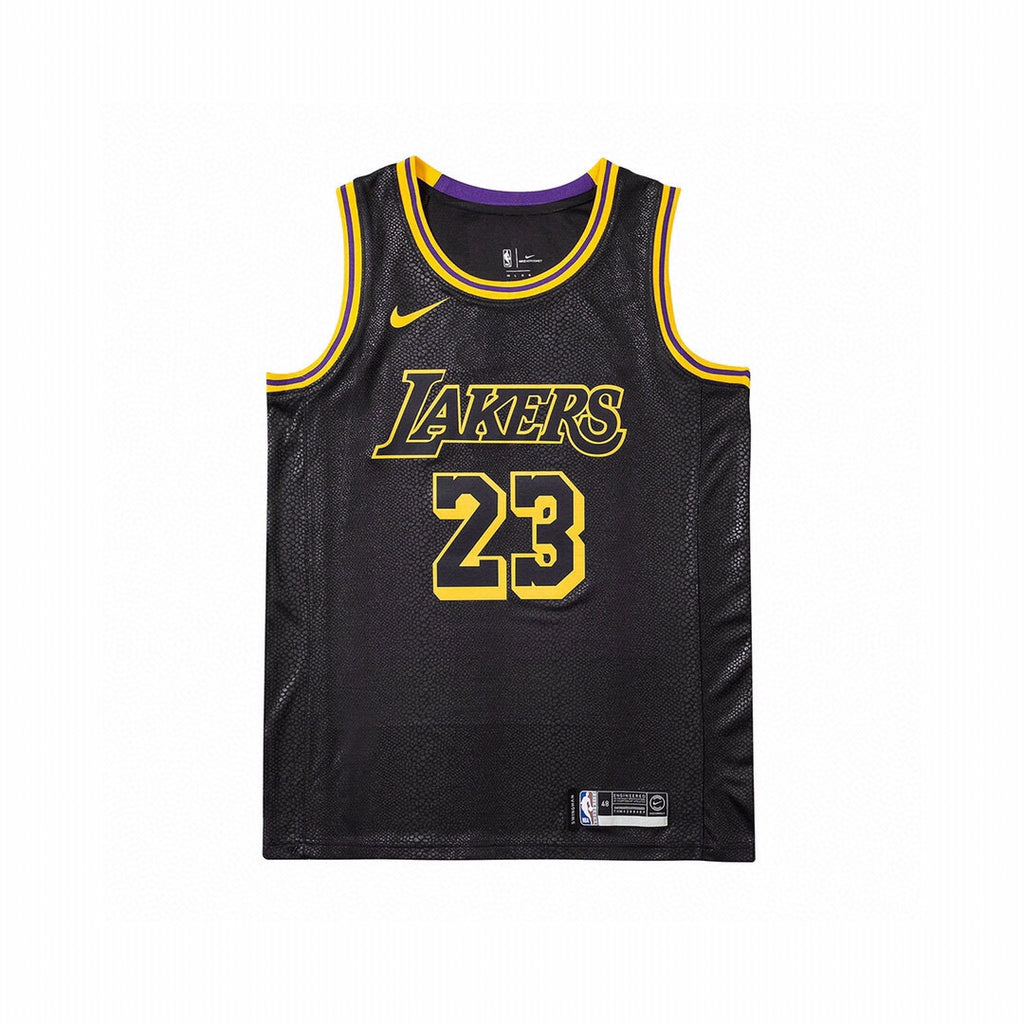 NBA LeBron James Jersey