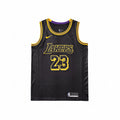 NBA LeBron James Jersey
