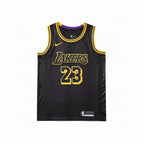 NBA LeBron James Jersey