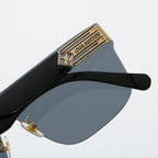 New Louis Vuitton sunglasses