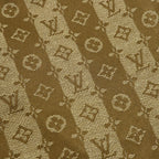 Louis Vuitton All-Over Print Paneled Shorts