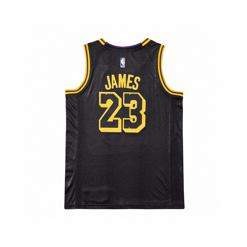 NBA LeBron James Jersey