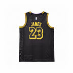 NBA LeBron James Jersey