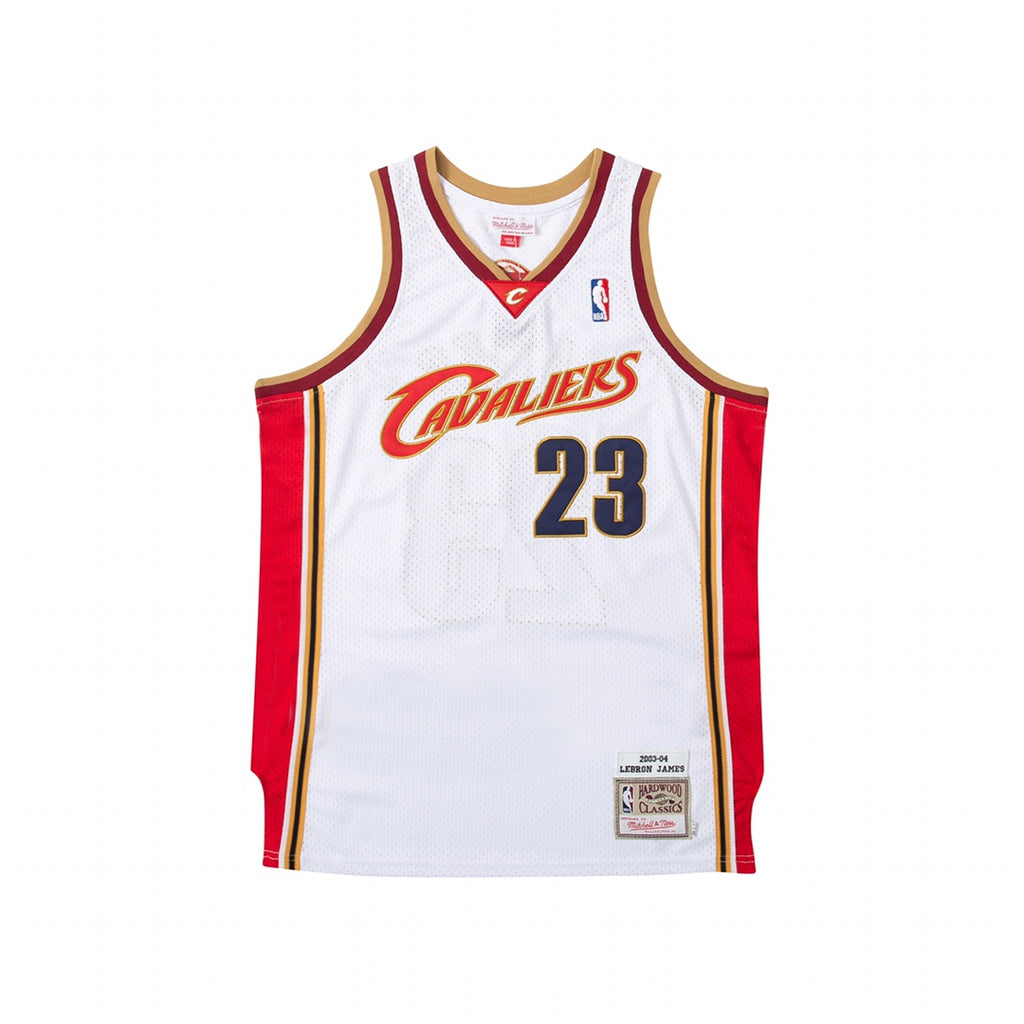 Superstar LeBron James — Cleveland Cavaliers