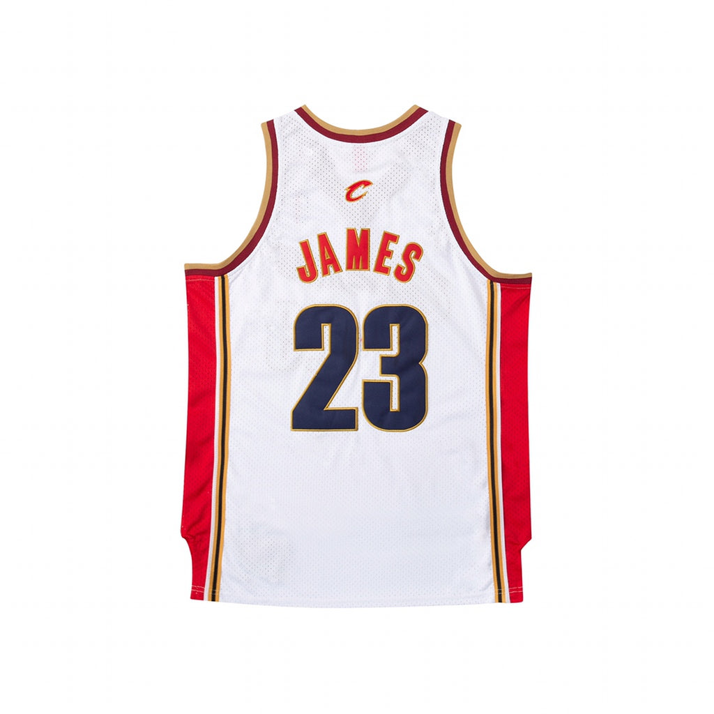 Superstar LeBron James — Cleveland Cavaliers