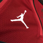 LeBron James Miami Heat #6 Themed V-Neck Maroon Basketball Jersey