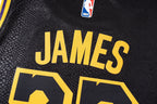 NBA LeBron James Jersey