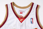 Superstar LeBron James — Cleveland Cavaliers