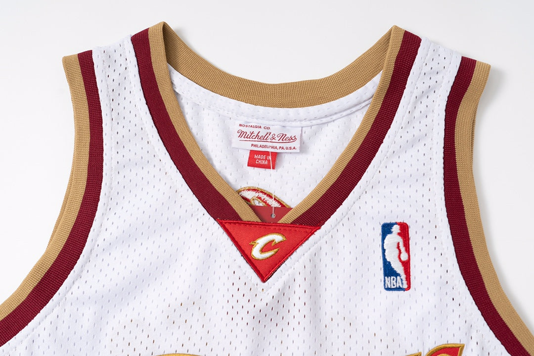 Superstar LeBron James — Cleveland Cavaliers
