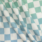 Louis Vuitton New Gradient Damier Shorts